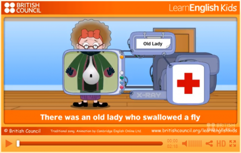 an old lady who swallowed a fly- british council